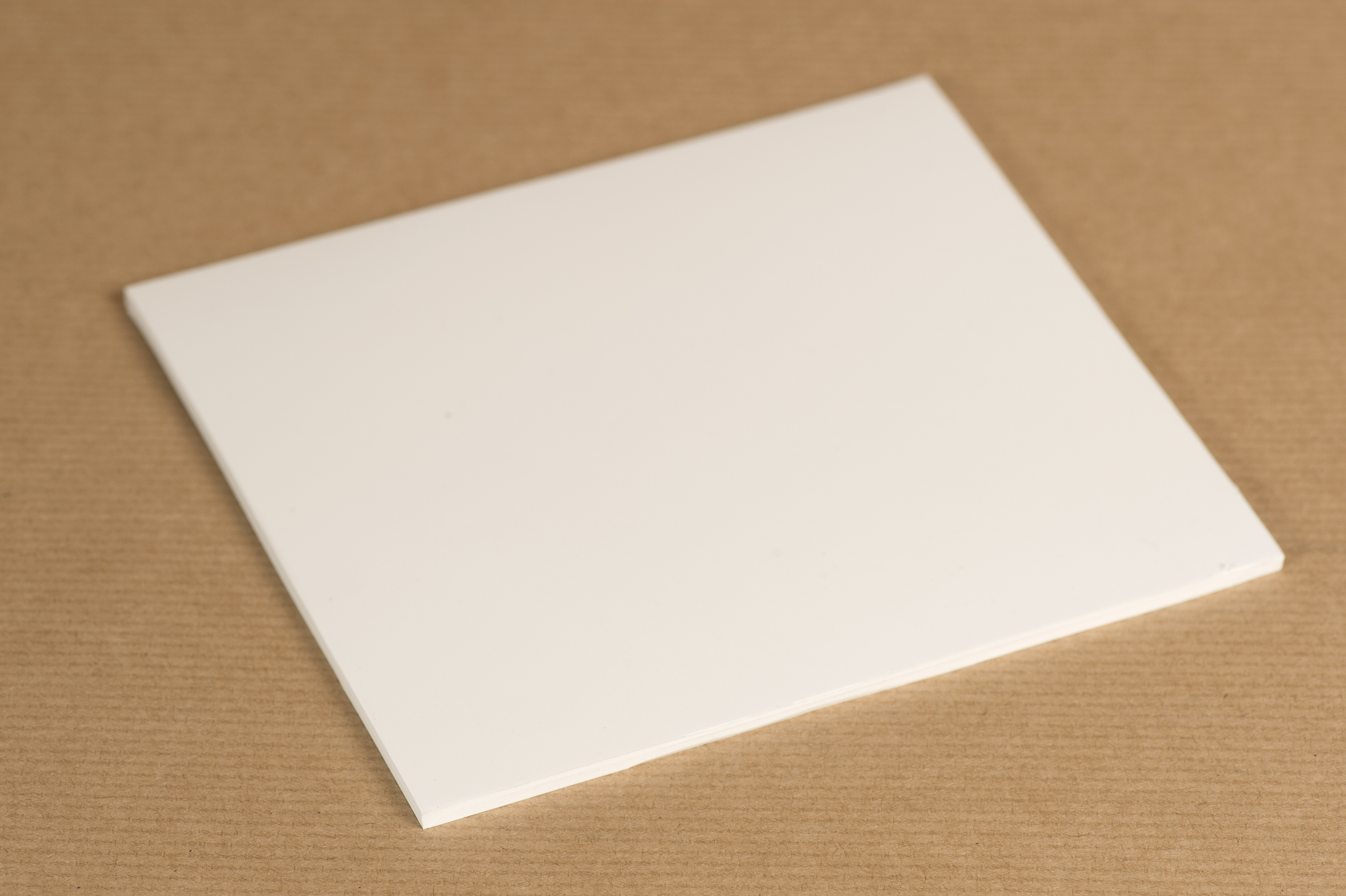PTFE Teflon Platte Zuschnitt 5 mm 300x600 mm 